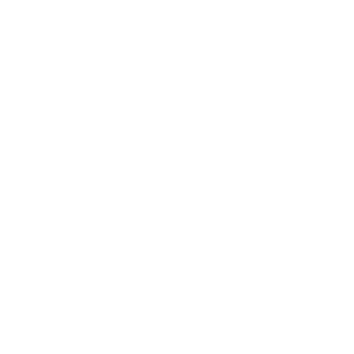 Speed Store